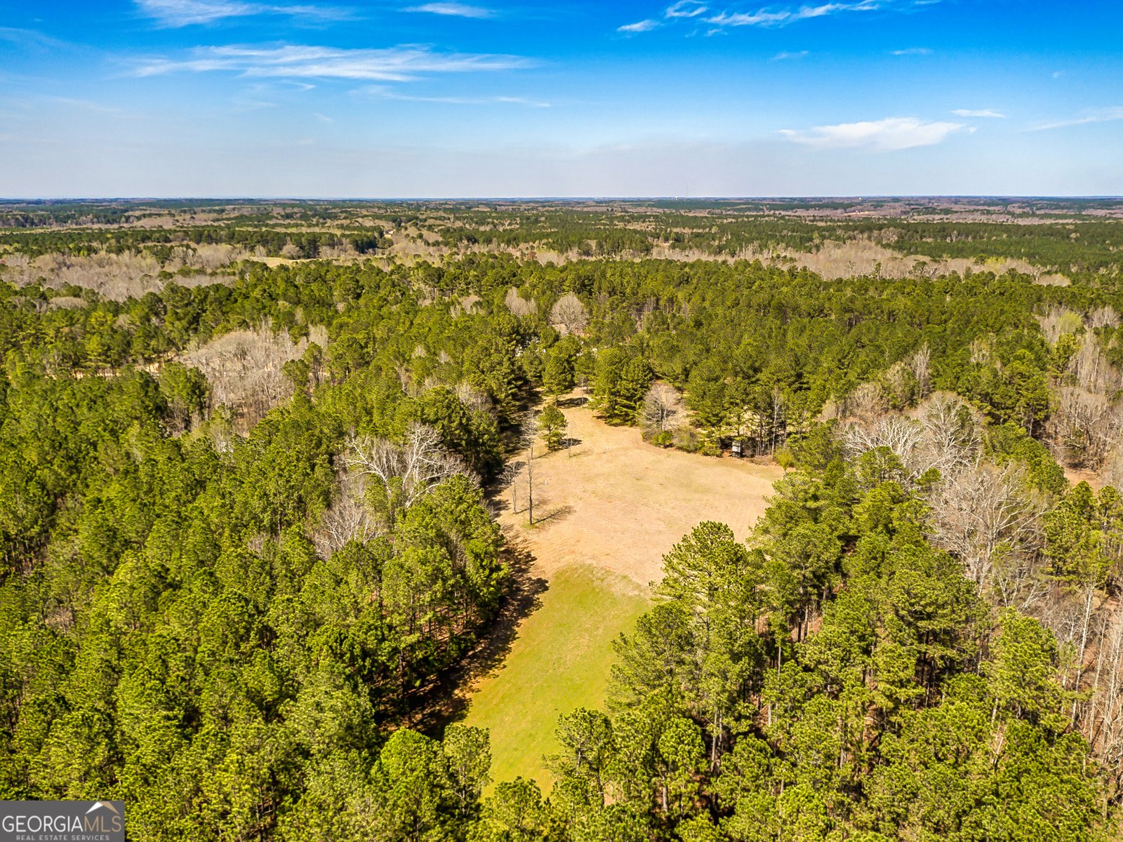 1479 Primrose Road Greenville - 28