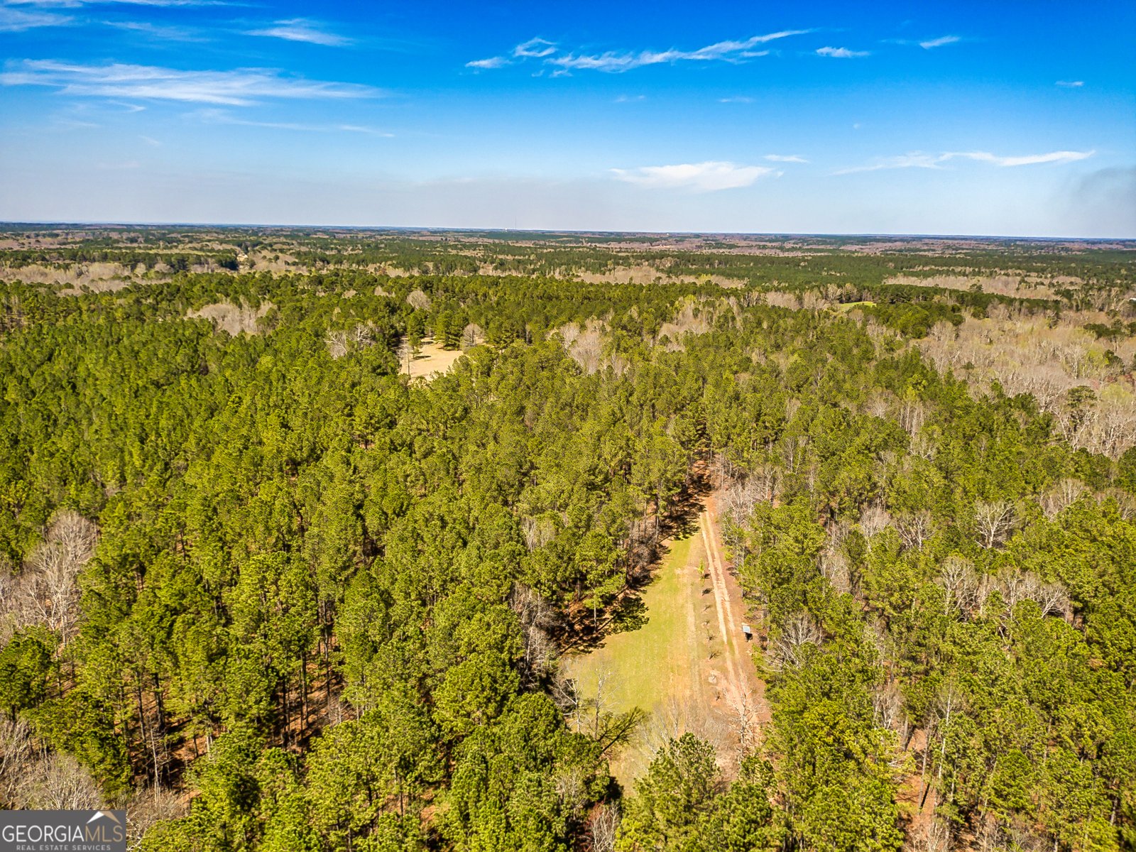1479 Primrose Road Greenville - 29