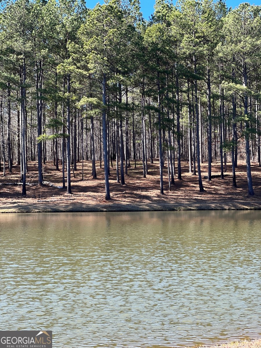 1479 Primrose Road Greenville - 3