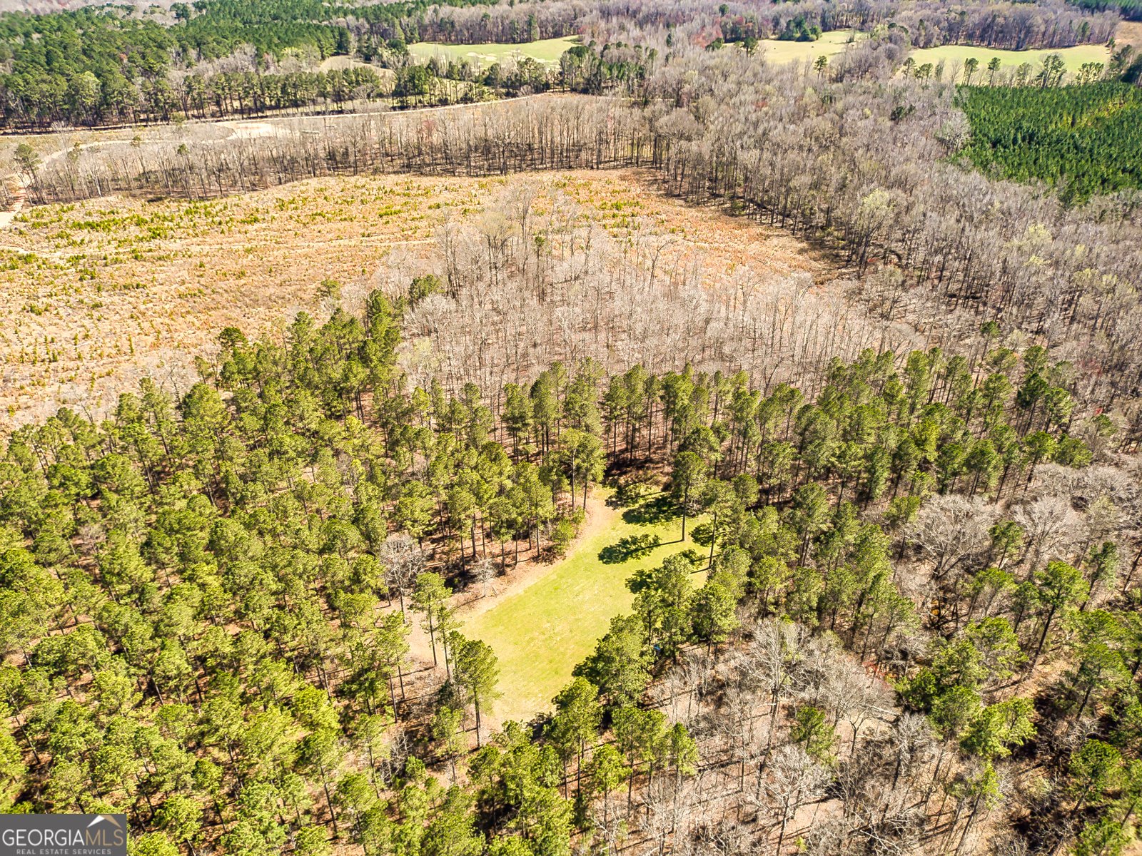 1479 Primrose Road Greenville - 33