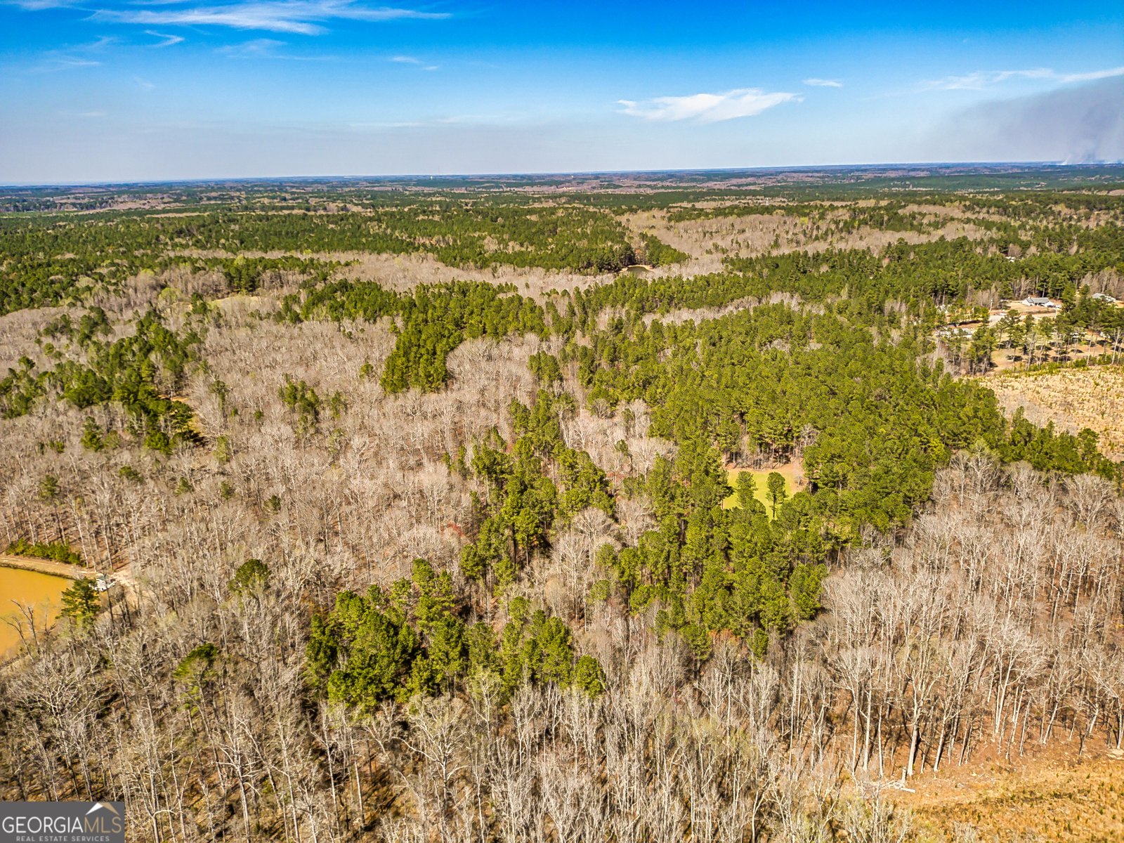 1479 Primrose Road Greenville - 34