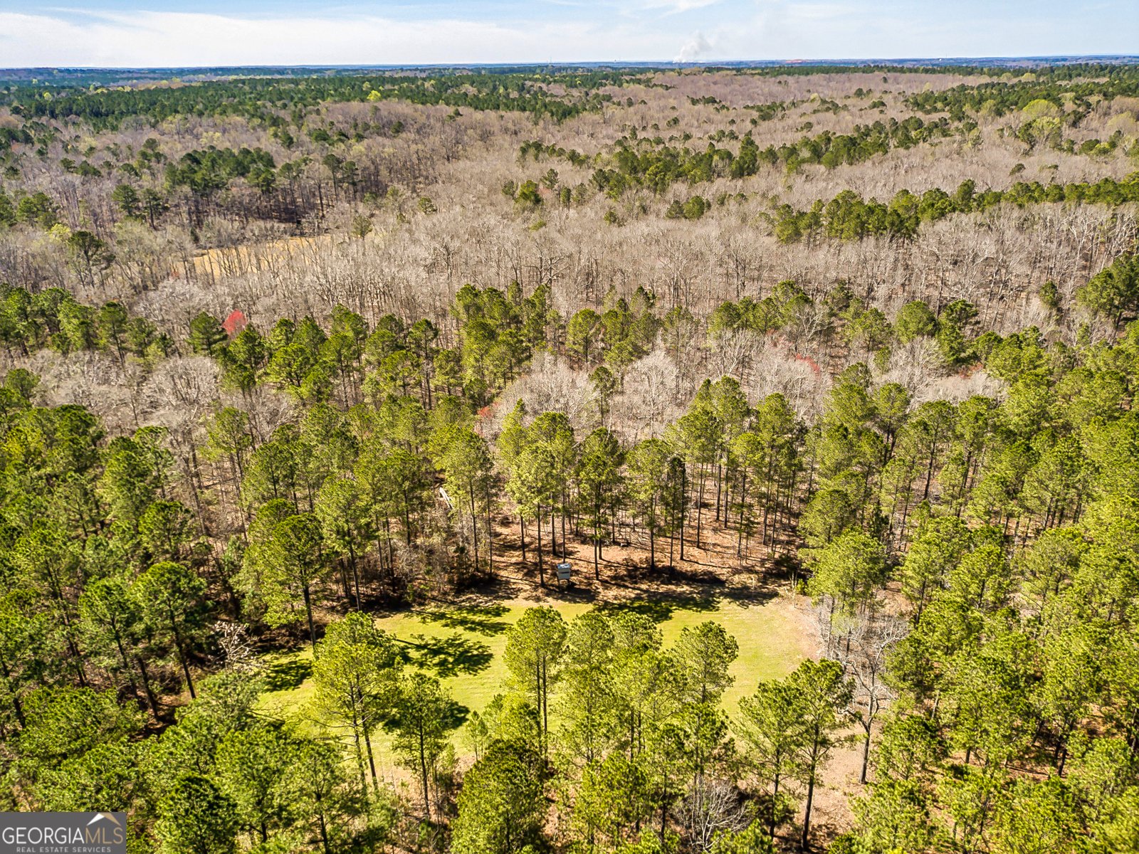 1479 Primrose Road Greenville - 36