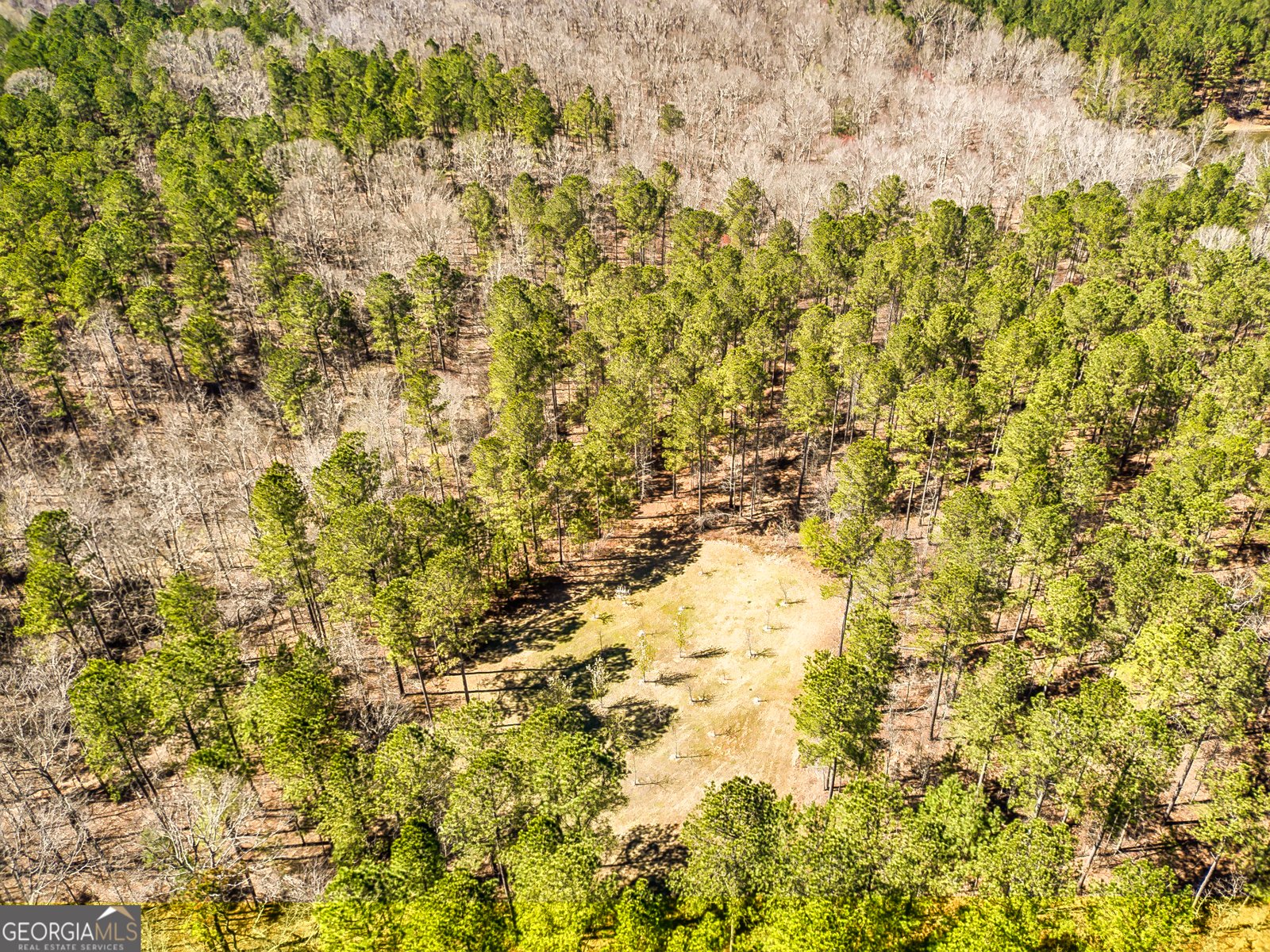 1479 Primrose Road Greenville - 37