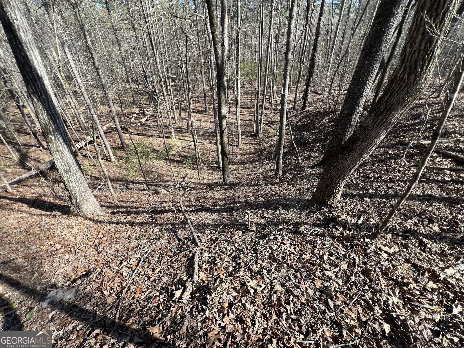 1479 Primrose Road Greenville - 38