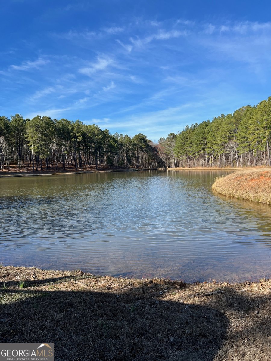 1479 Primrose Road Greenville - 4