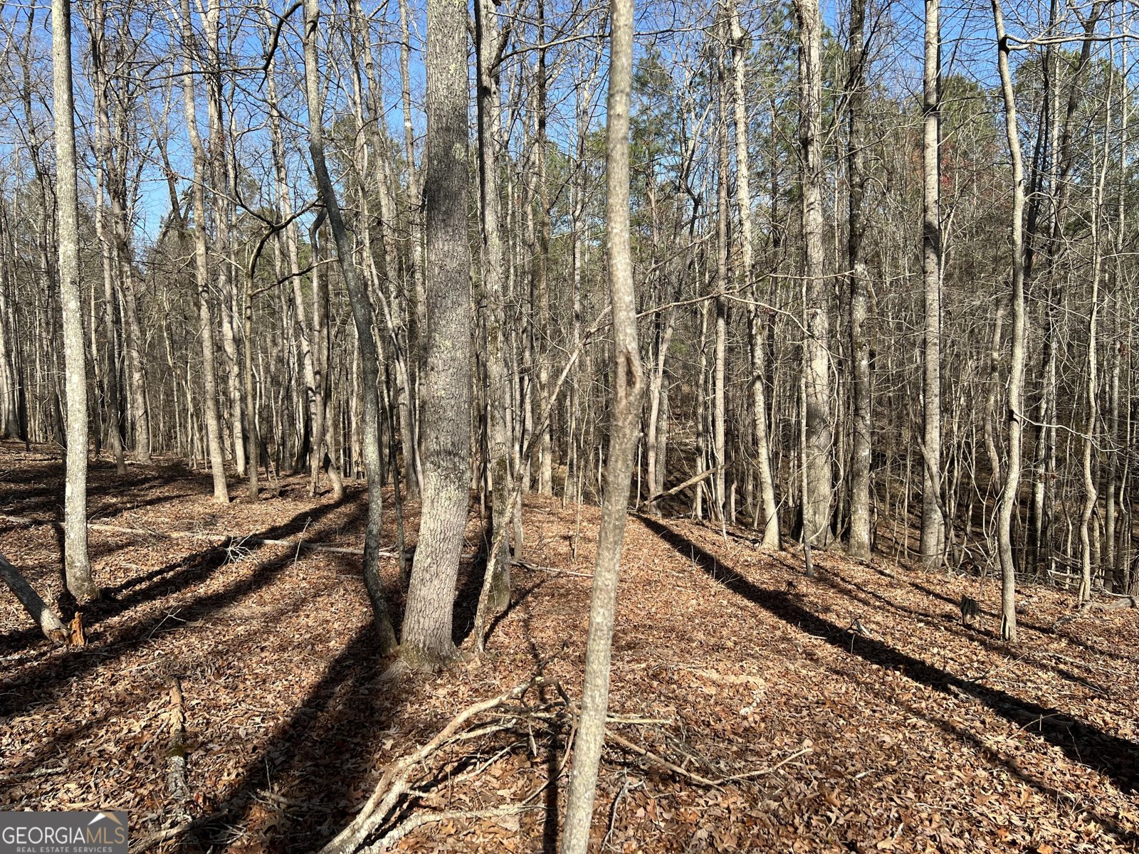 1479 Primrose Road Greenville - 40