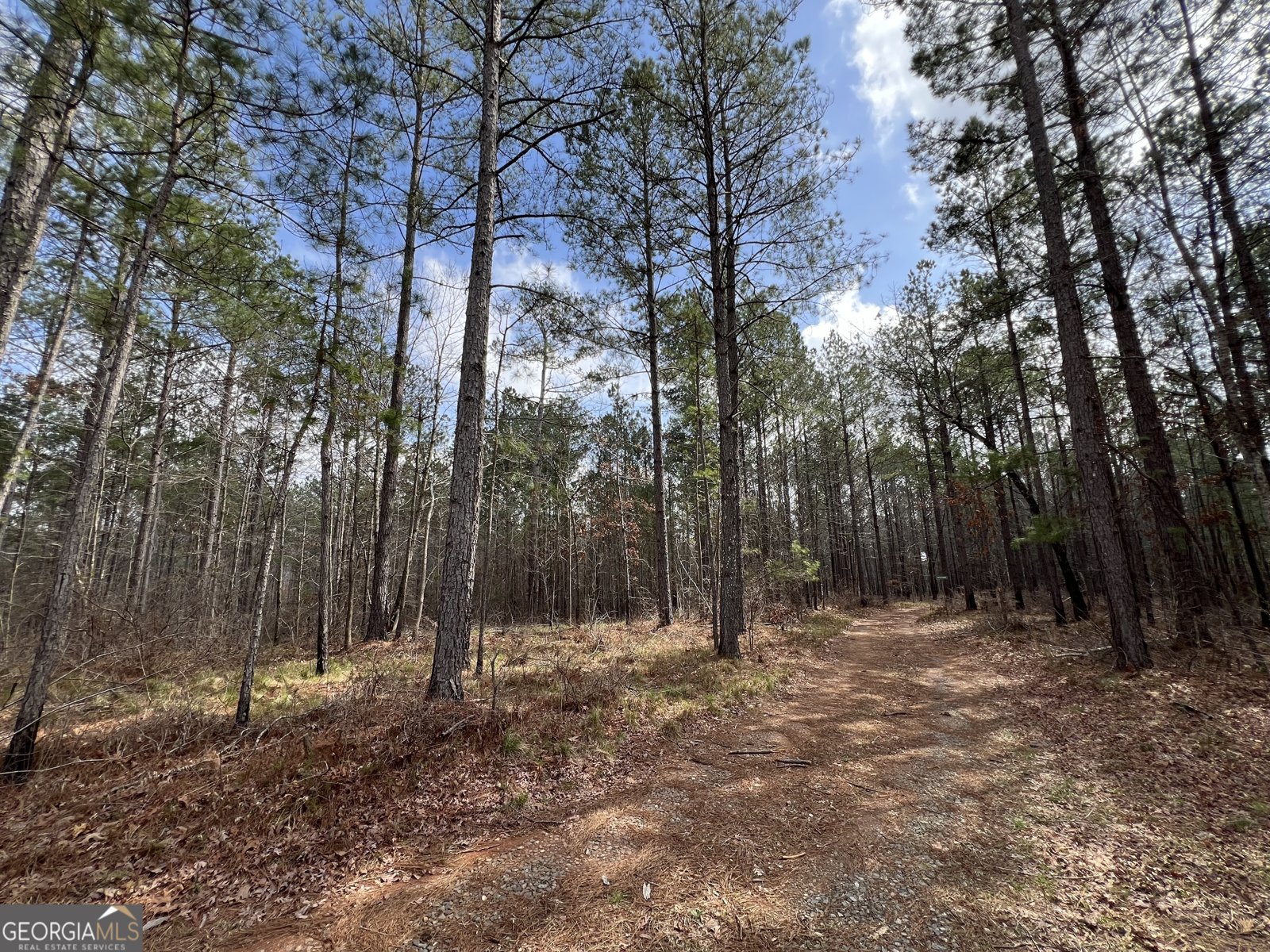 1479 Primrose Road Greenville - 41