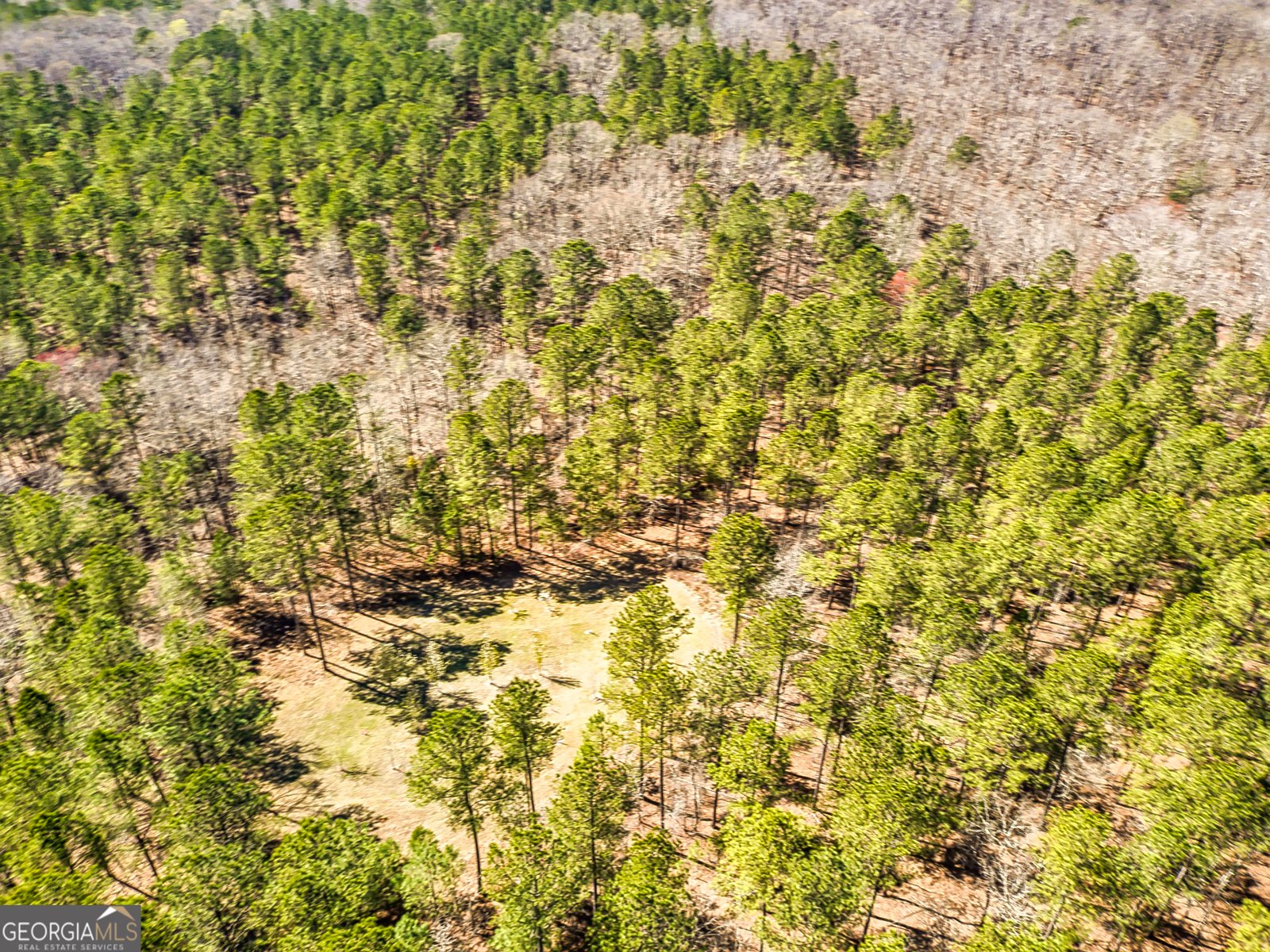 1479 Primrose Road Greenville - 42