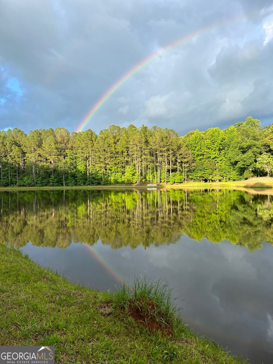 1479 Primrose Road Greenville - 5
