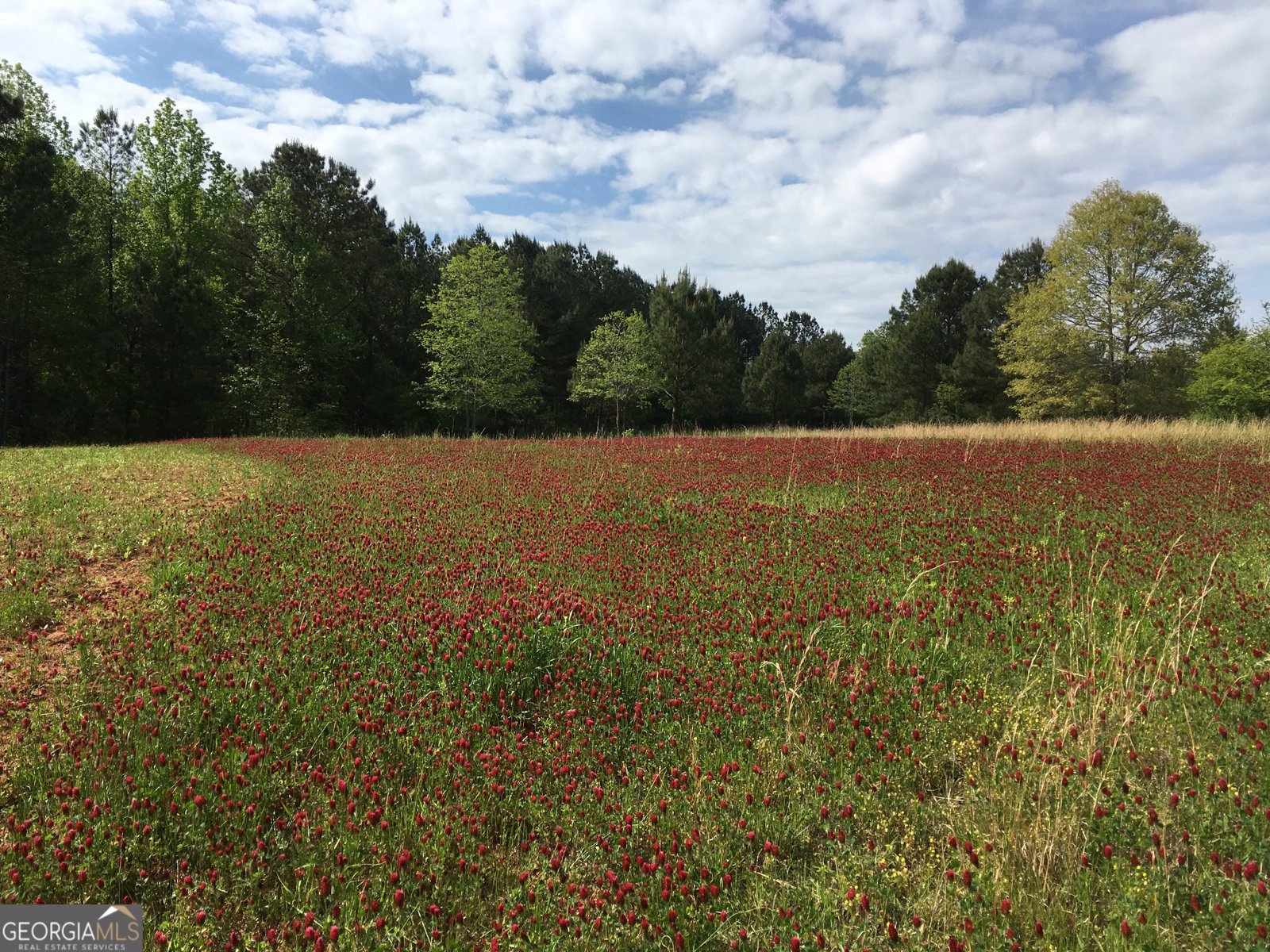 1479 Primrose Road Greenville - 76