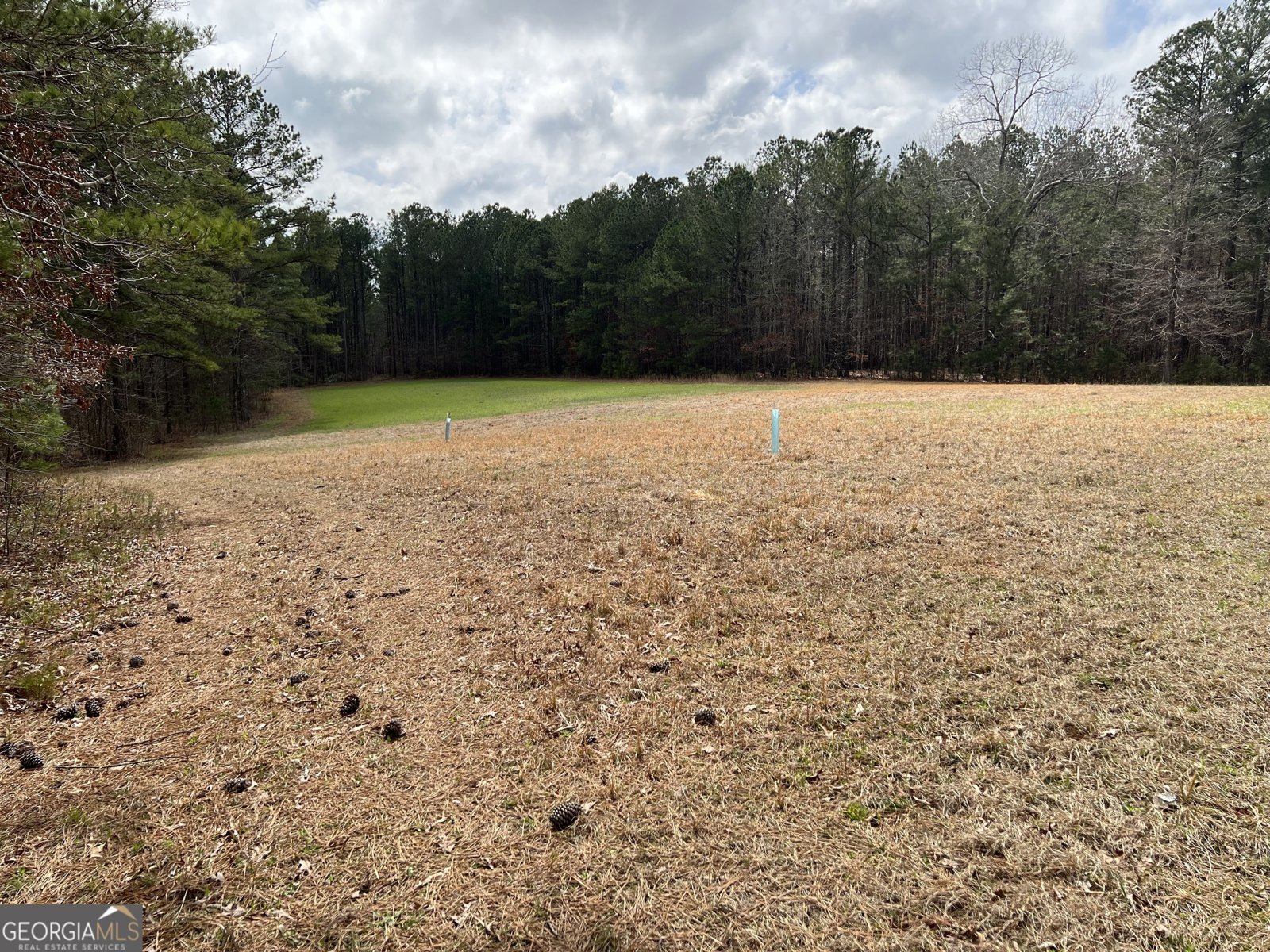1479 Primrose Road Greenville - 77