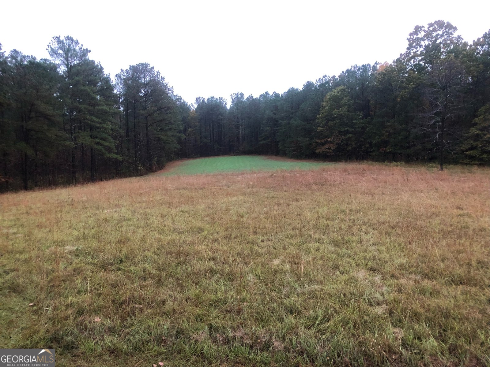 1479 Primrose Road Greenville - 78