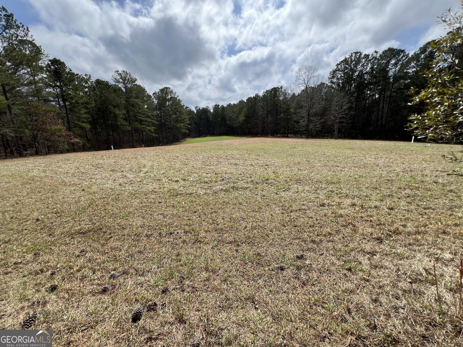 1479 Primrose Road Greenville - 79