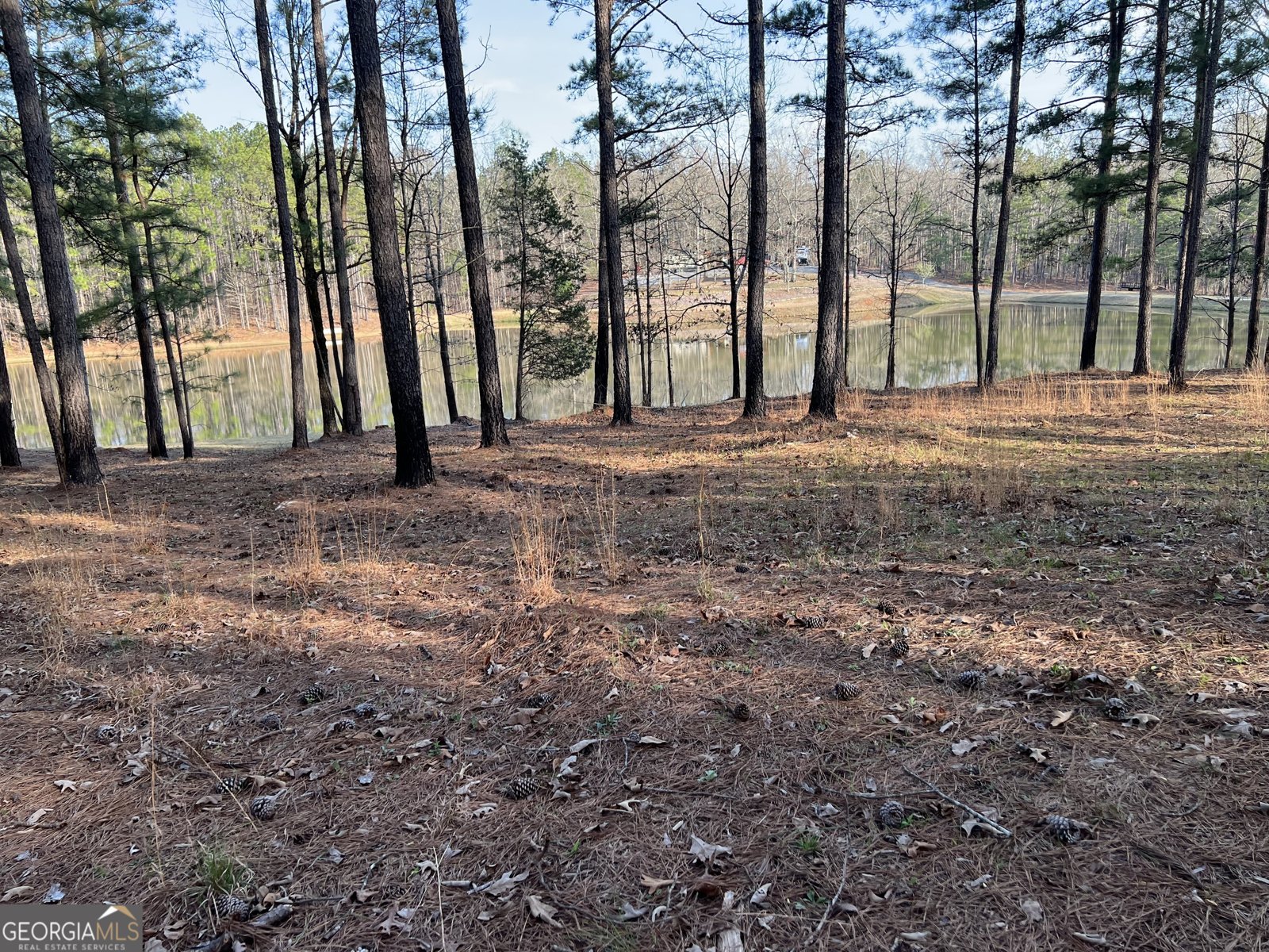 1479 Primrose Road Greenville - 8