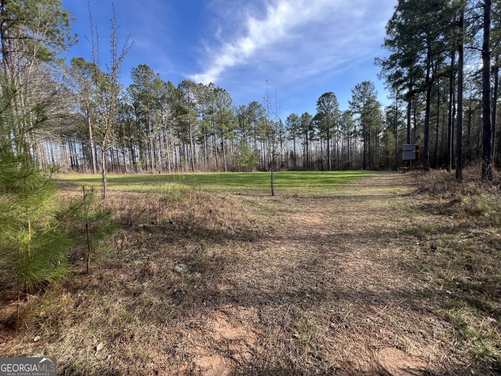 1479 Primrose Road Greenville - 84