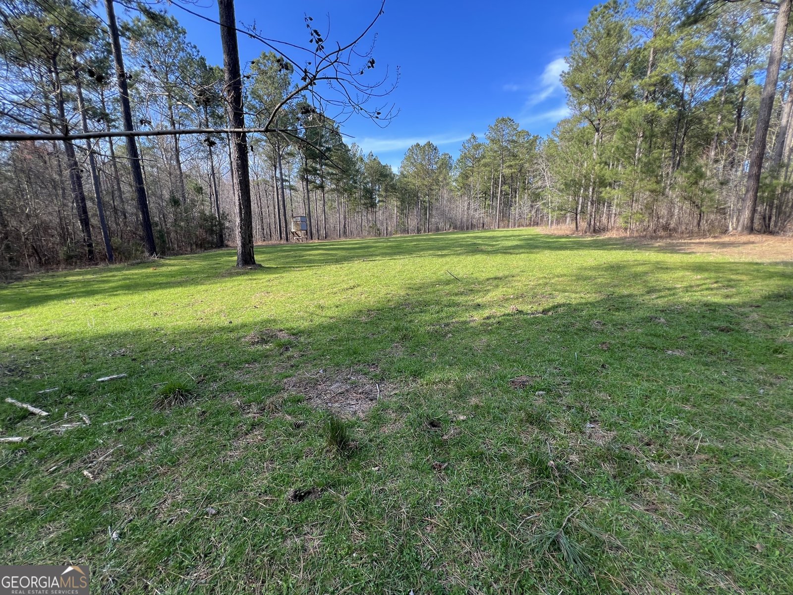 1479 Primrose Road Greenville - 85