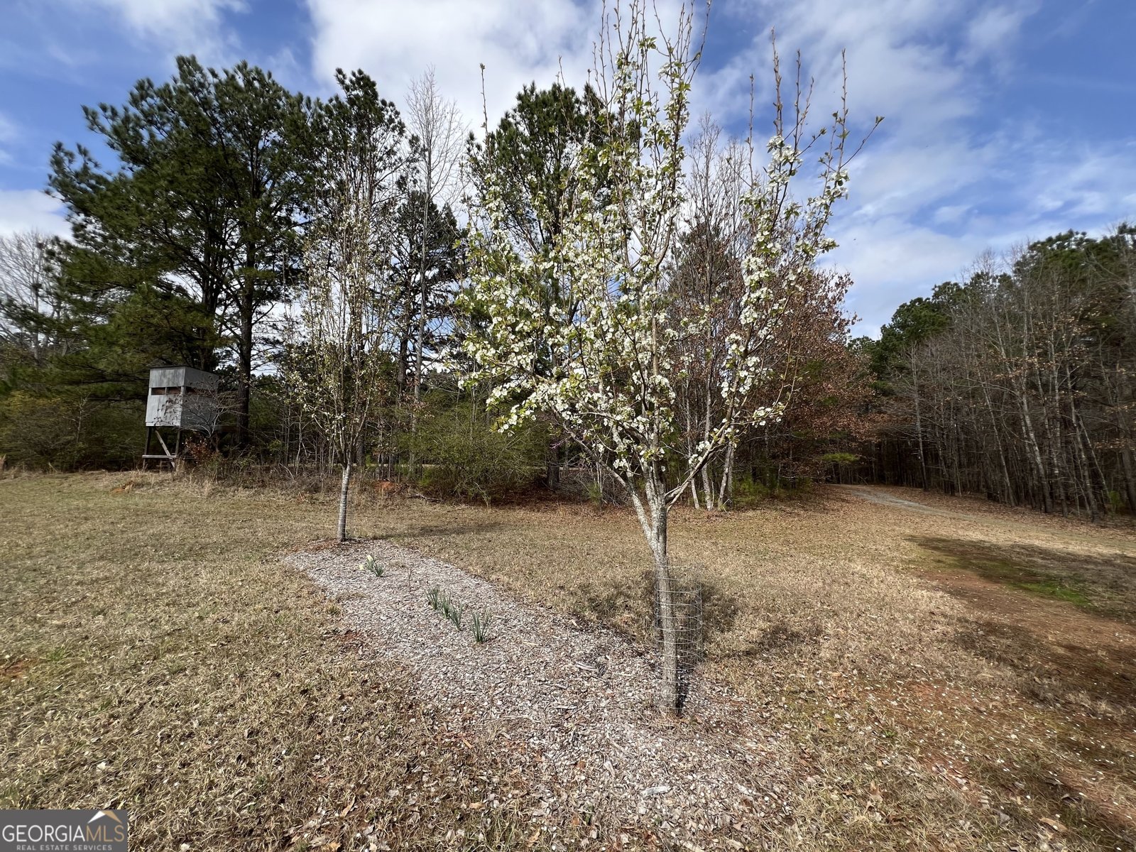 1479 Primrose Road Greenville - 87