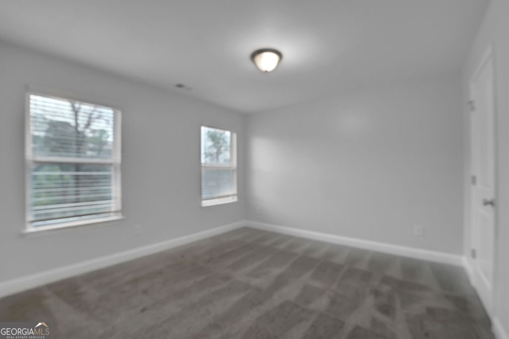 3945 Hamilton Cove Court Cumming - 25