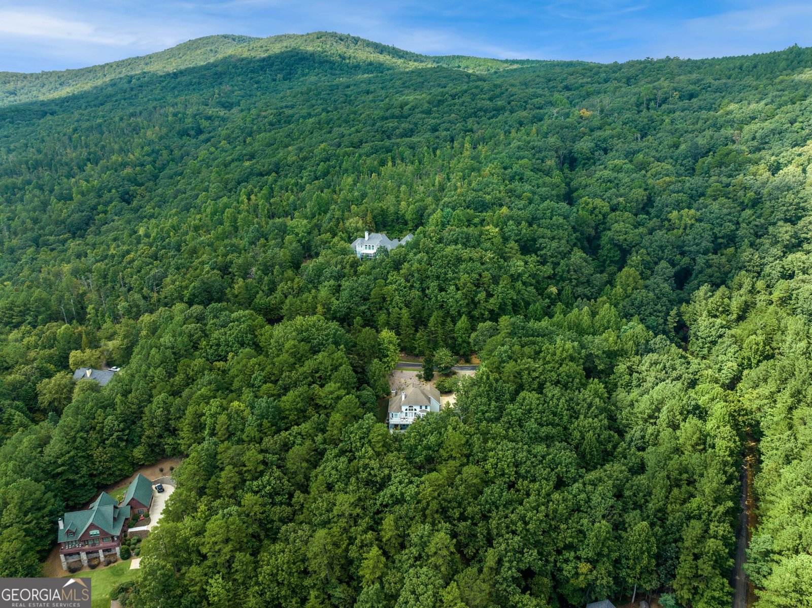 447 Yates Circle Clarkesville - 26