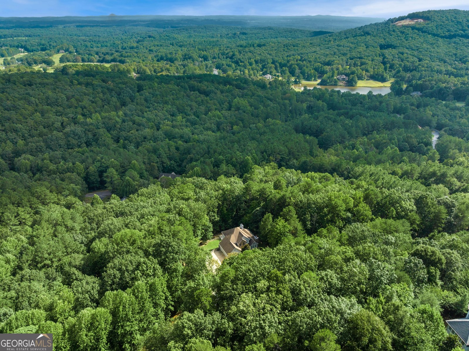 447 Yates Circle Clarkesville - 3