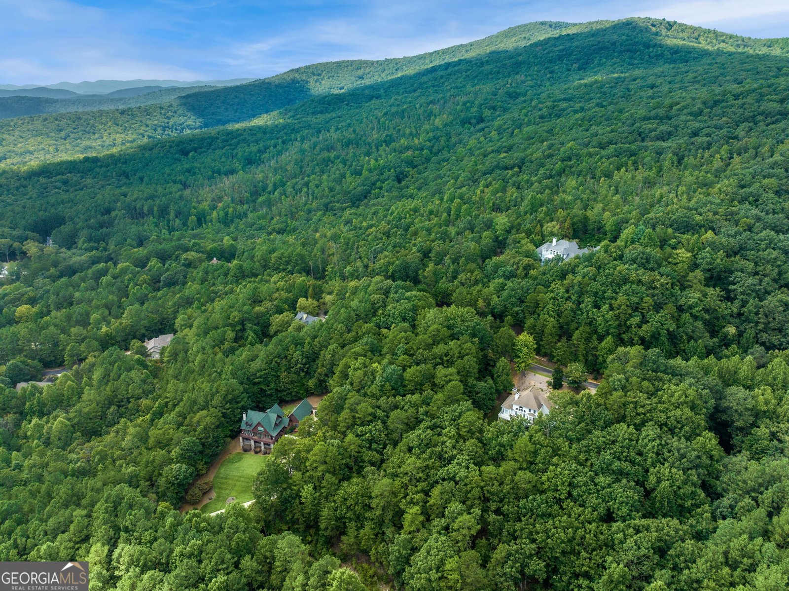 447 Yates Circle Clarkesville - 49