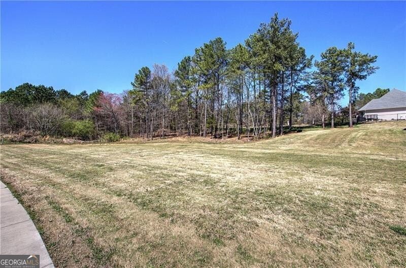 106 Lighthouse Cove Adairsville - 65