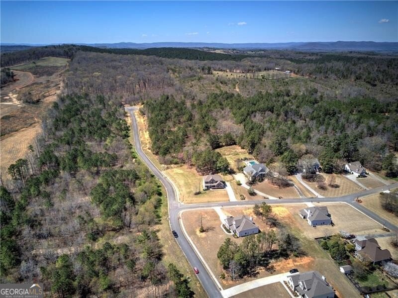 106 Lighthouse Cove Adairsville - 74