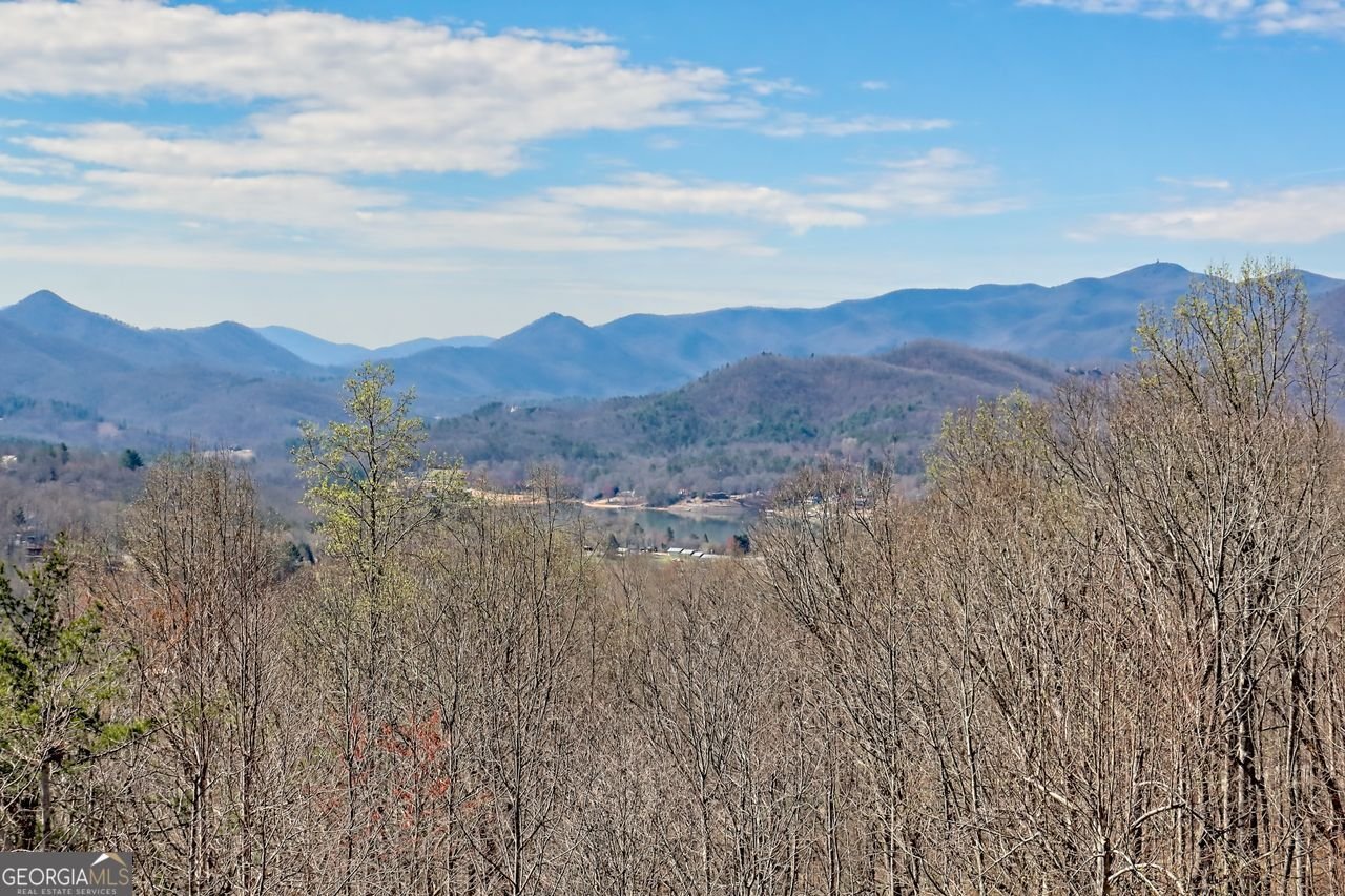 182 DOE Trail Hiawassee - 12