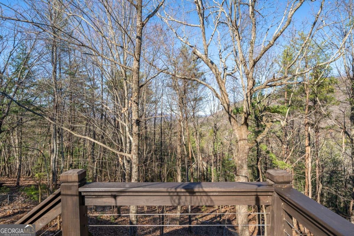 60 Laurel Ridge Court Ellijay - 16