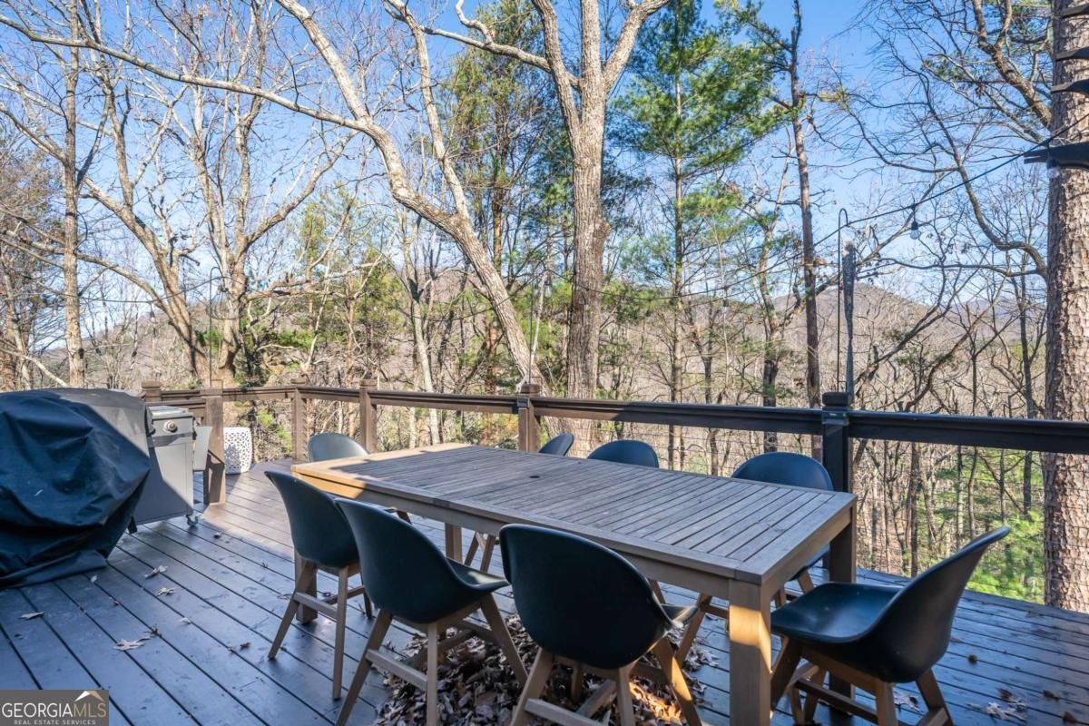 60 Laurel Ridge Court Ellijay - 17