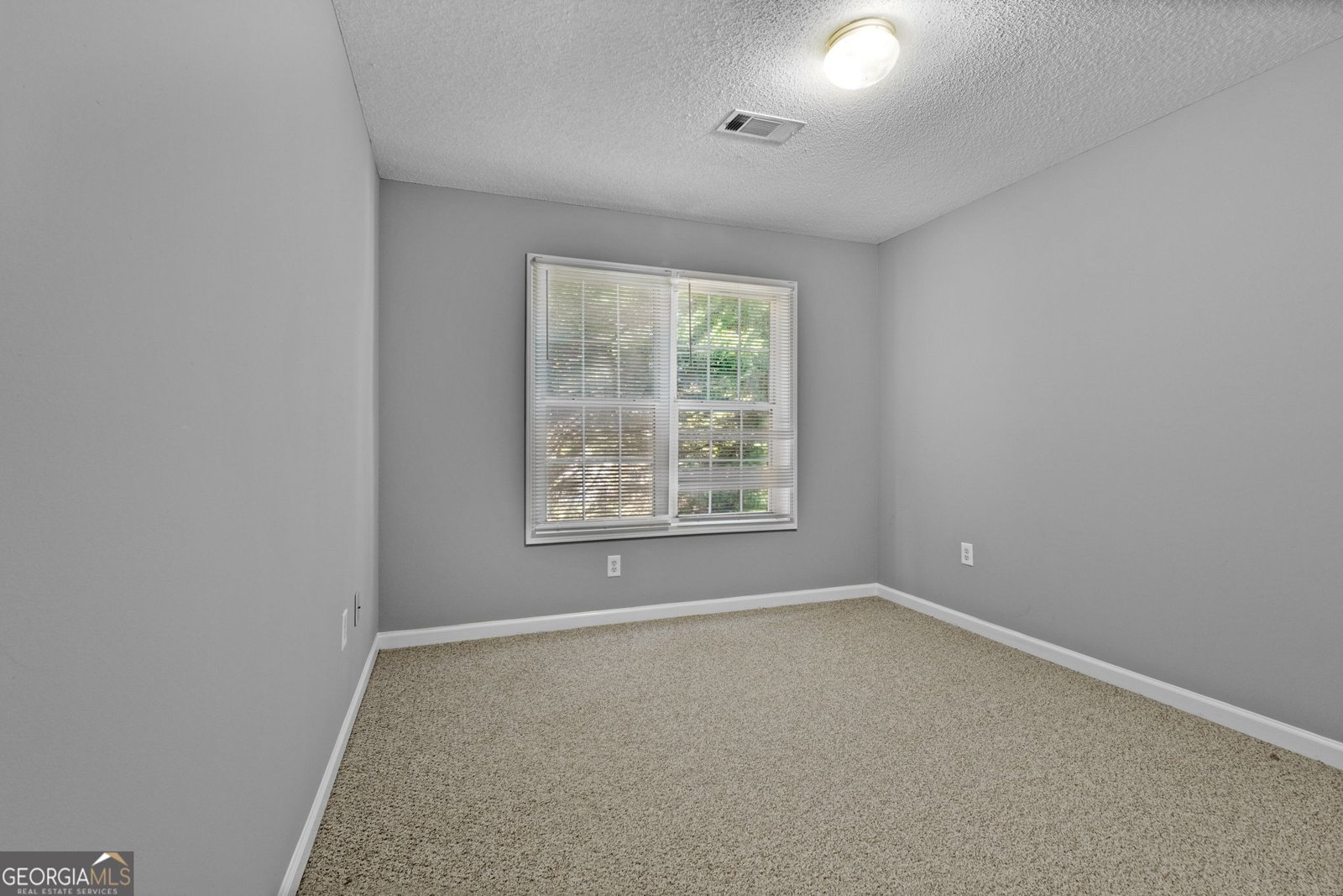 115 Brook Hollow Drive McDonough - 25