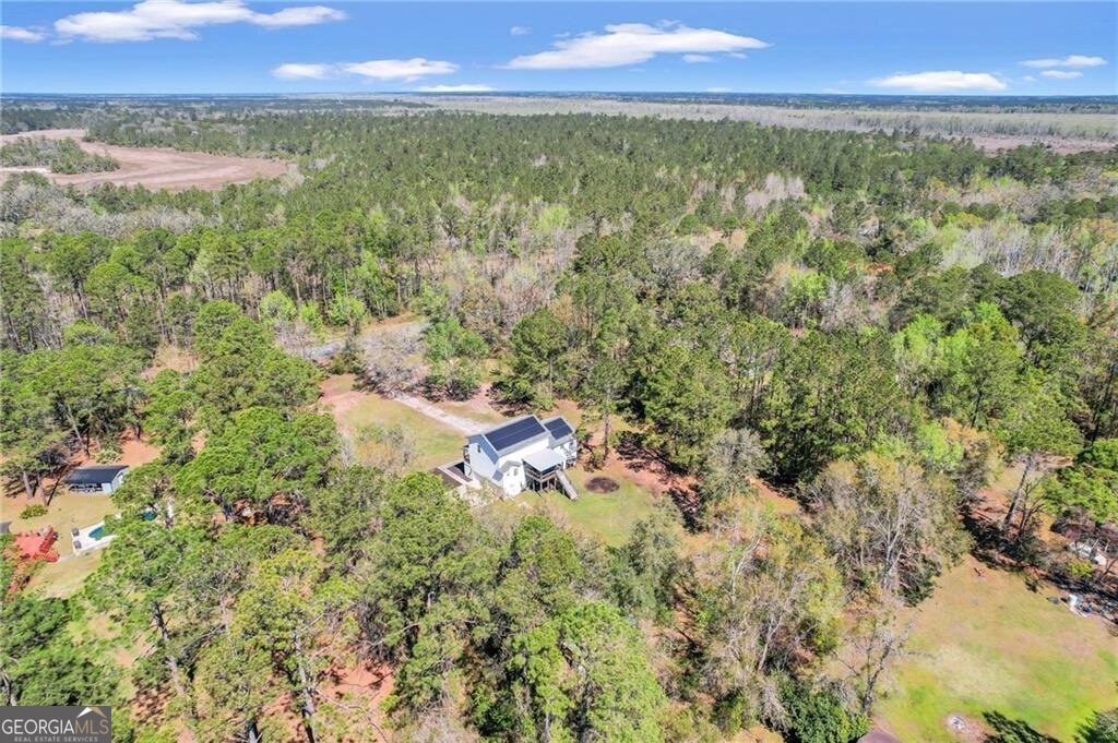 3180 Ga Highway 99 Brunswick - 51