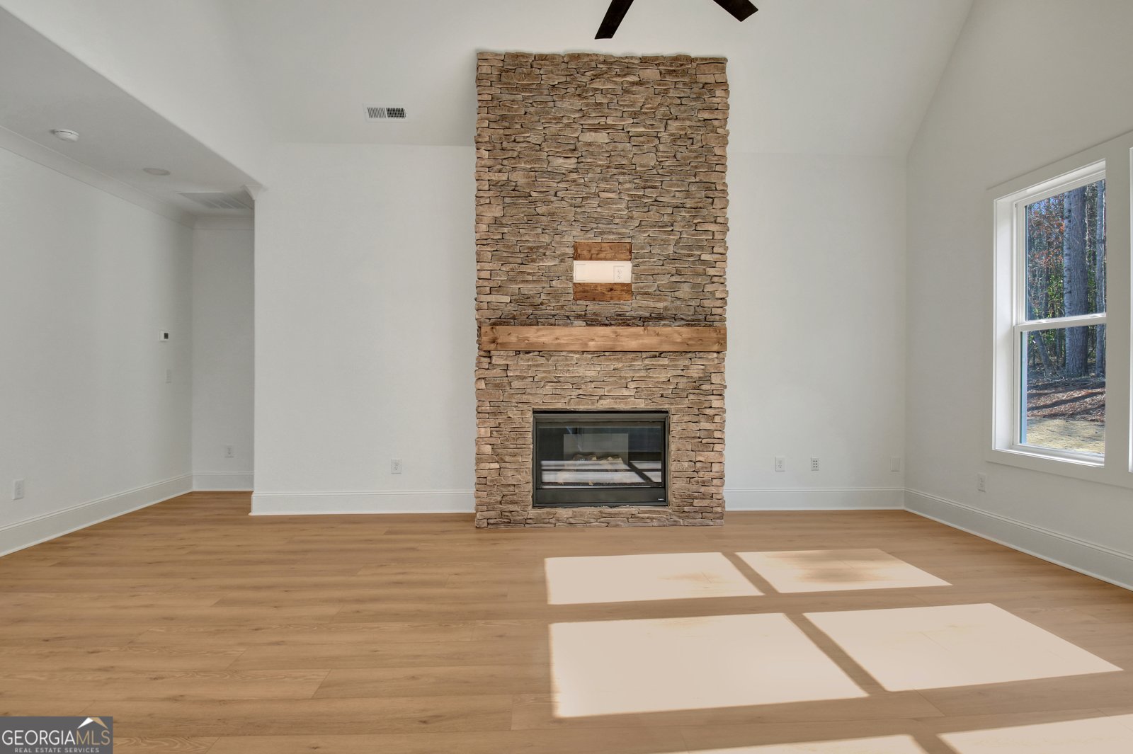 98 Ryeland Drive Senoia - 38