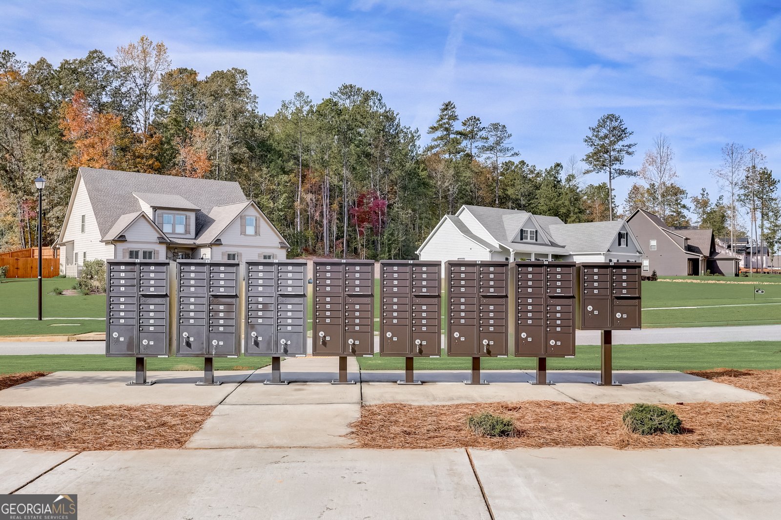98 Ryeland Drive Senoia - 73