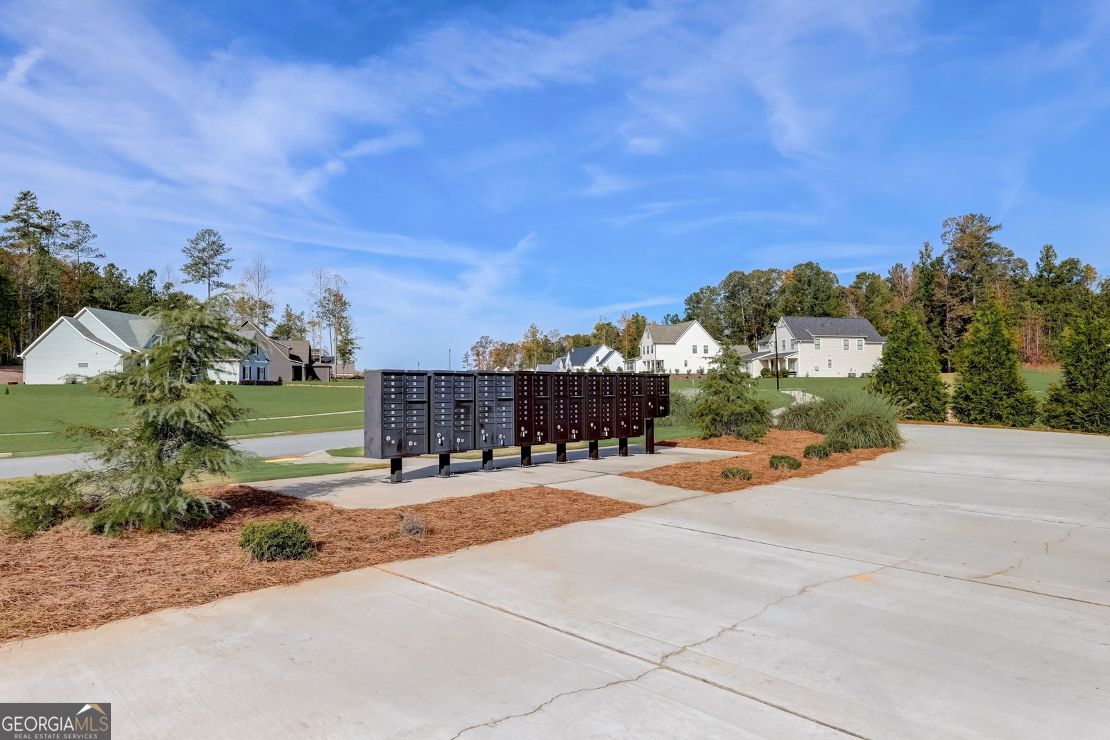 98 Ryeland Drive Senoia - 74
