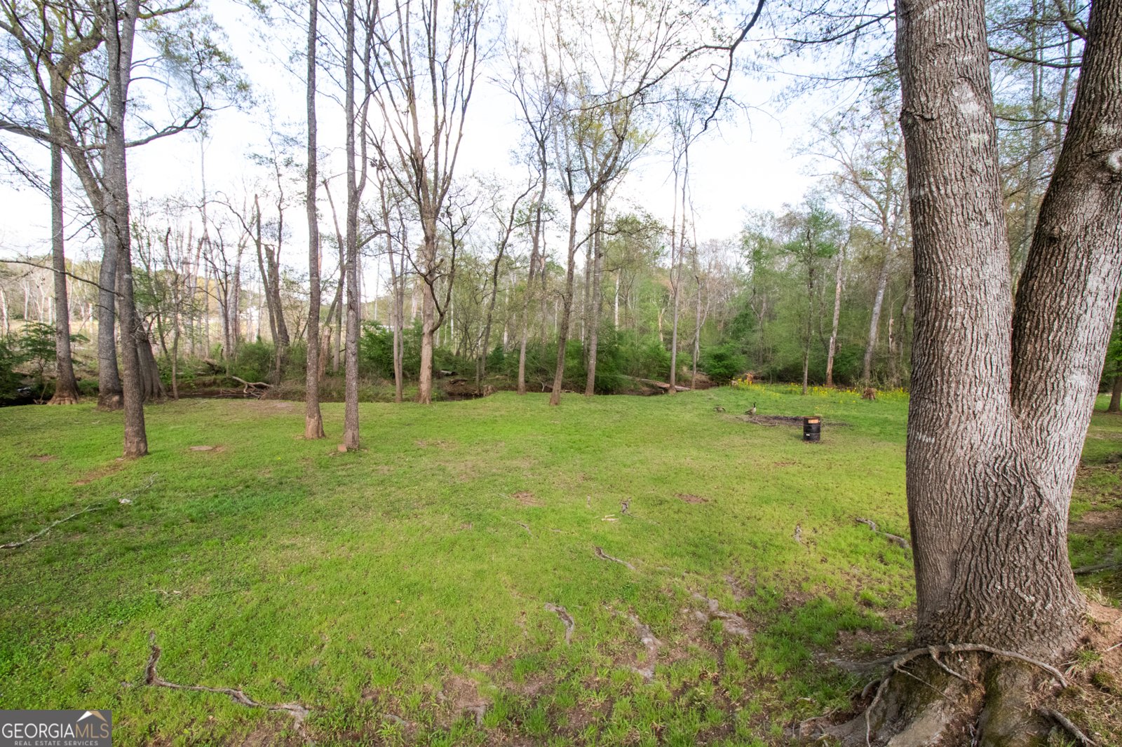 237 Summerford Place Stockbridge - 93