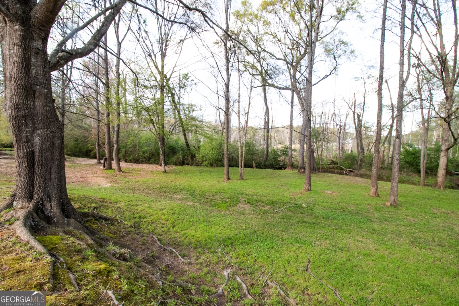 237 Summerford Place Stockbridge - 94