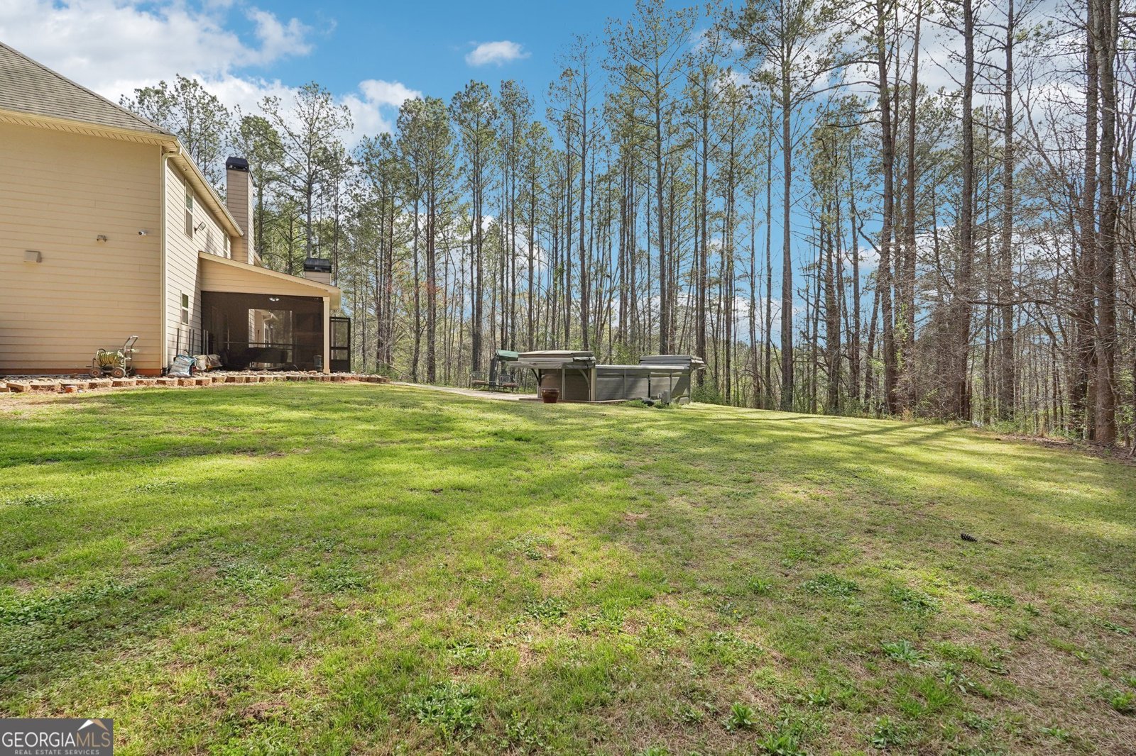 3428 Highway 54 Senoia - 55