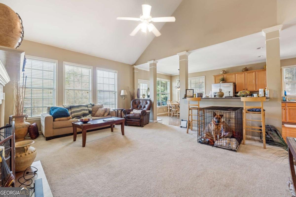 221 Cedar Mill Drive Dallas - 8