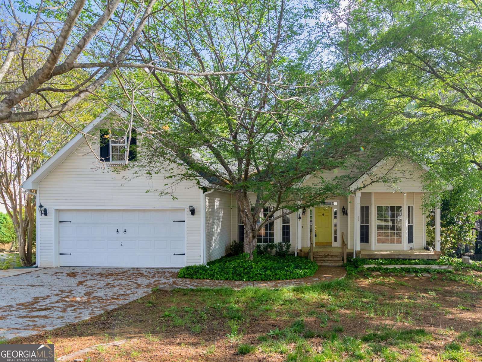 315 Emerald Way Senoia - 1