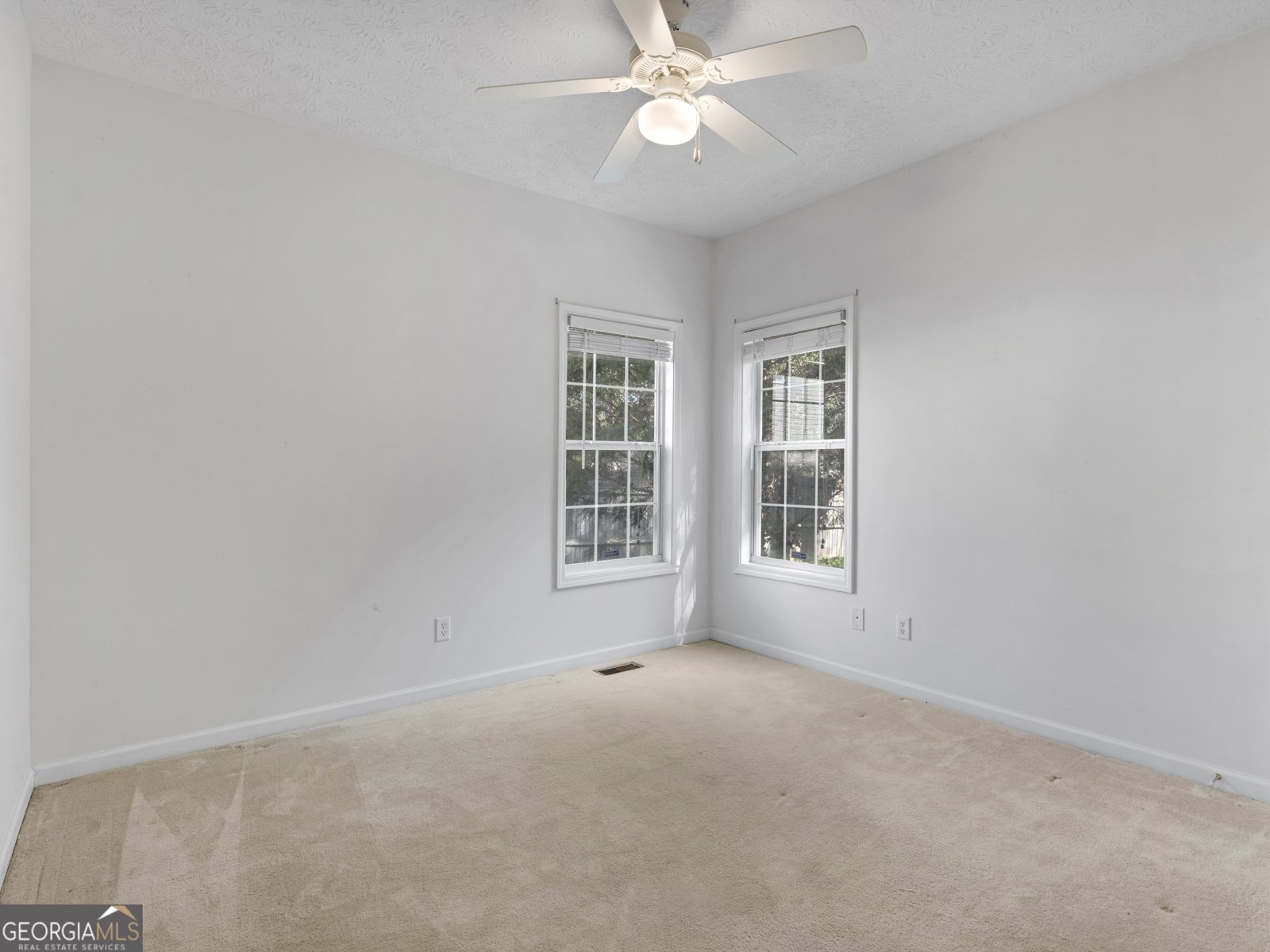315 Emerald Way Senoia - 14