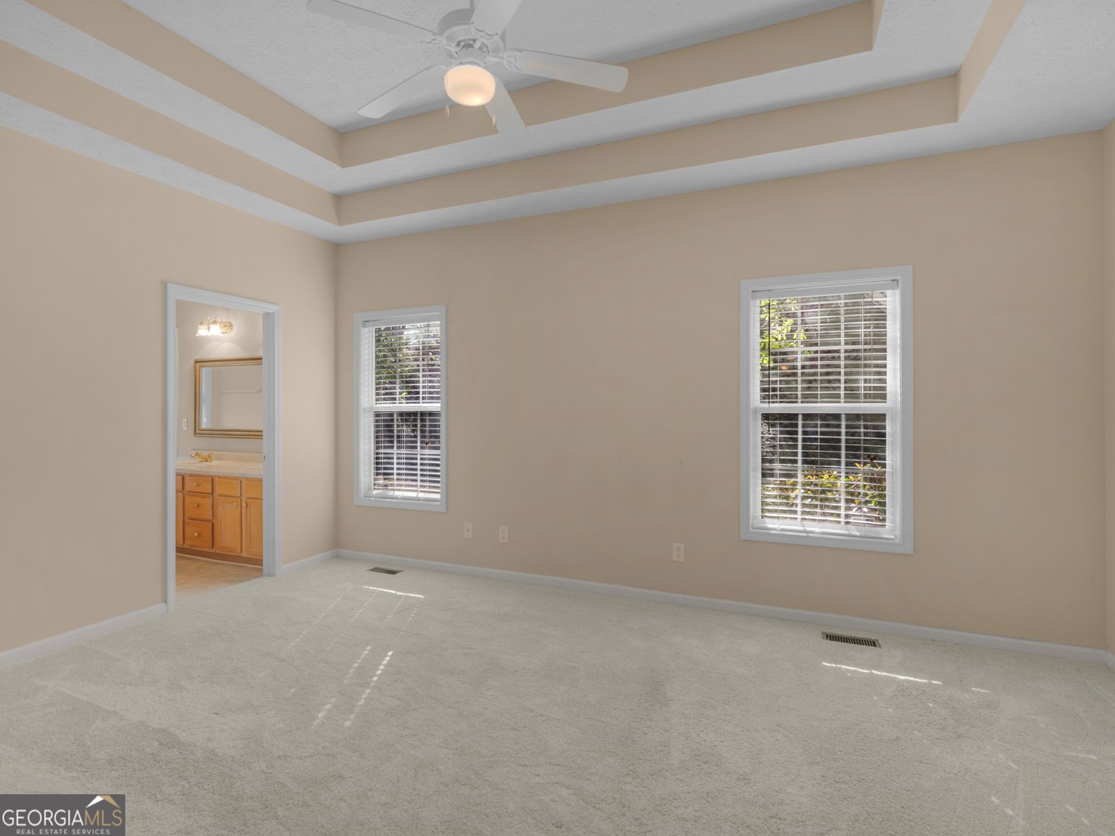 315 Emerald Way Senoia - 6