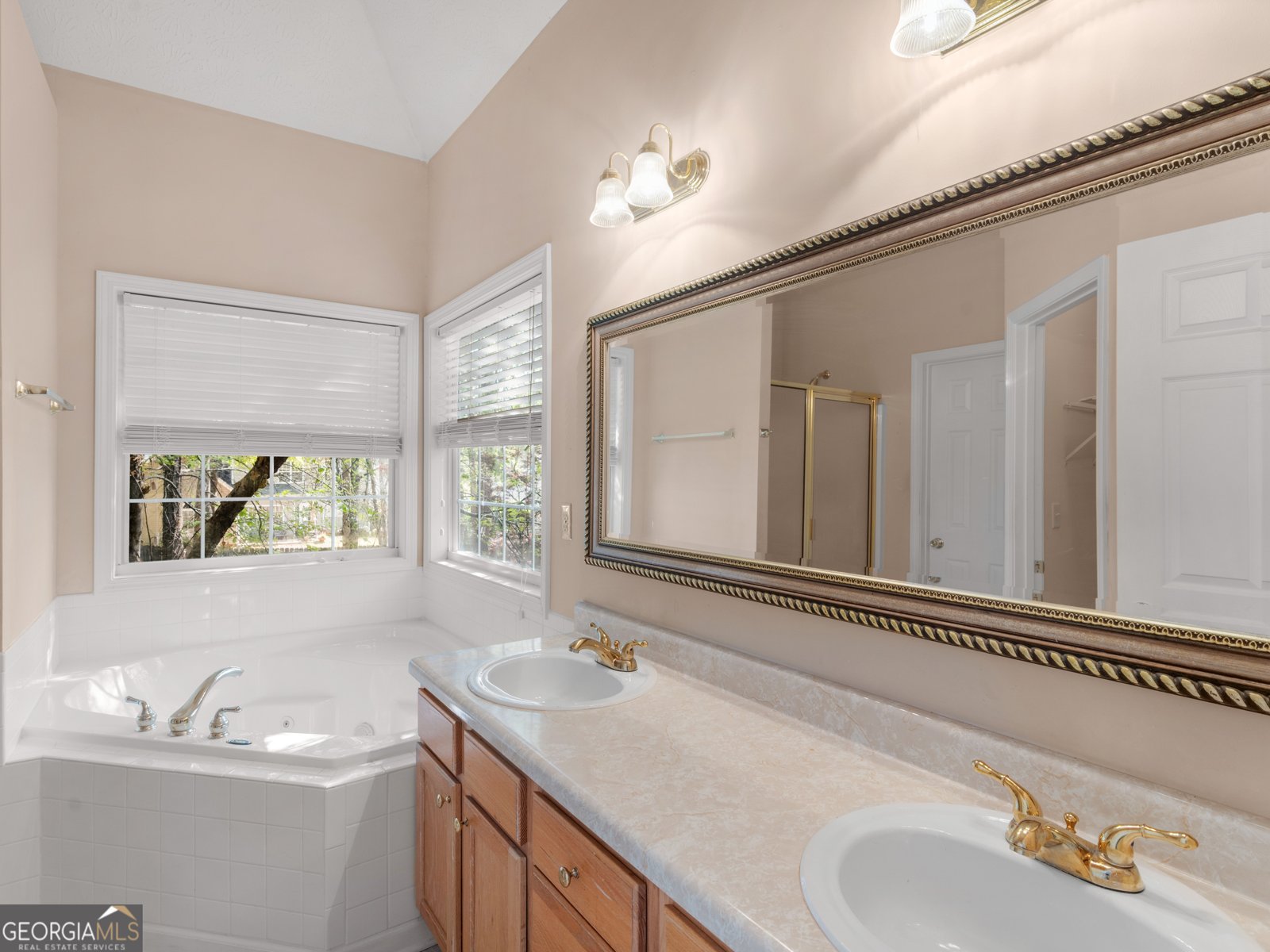 315 Emerald Way Senoia - 7