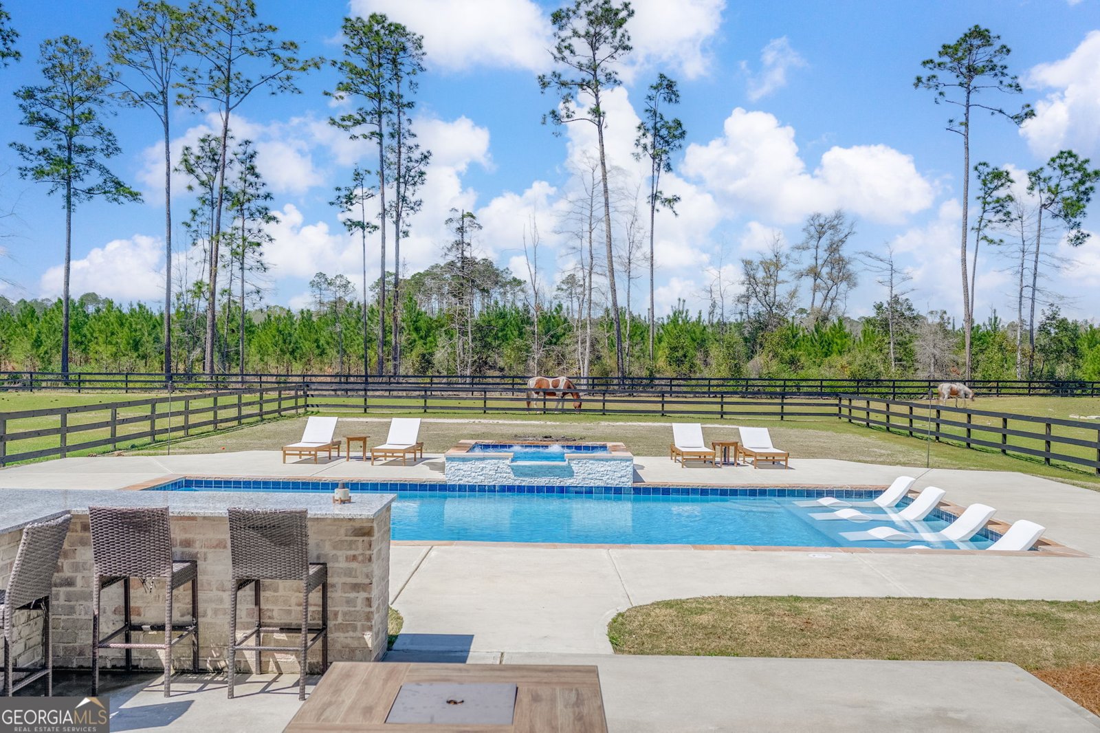 9853 Ga Highway 204 Ellabell - 36