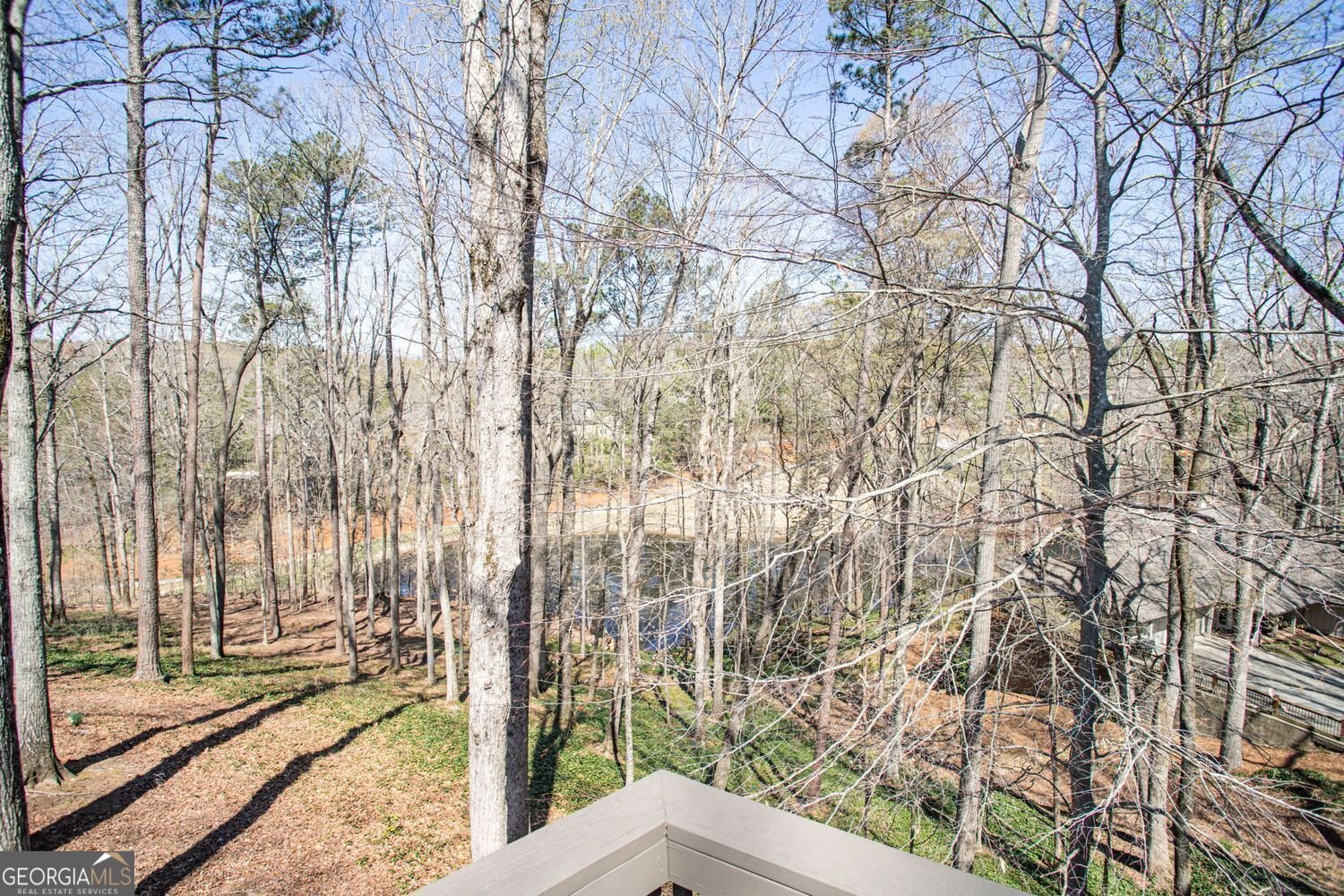 812 Burning Tree Court Marietta - 8