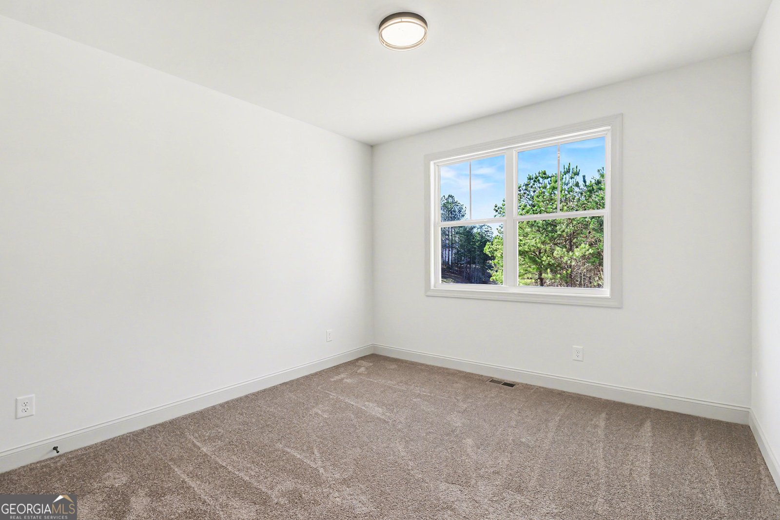 114 Morgan Lane Dawsonville - Photo 16