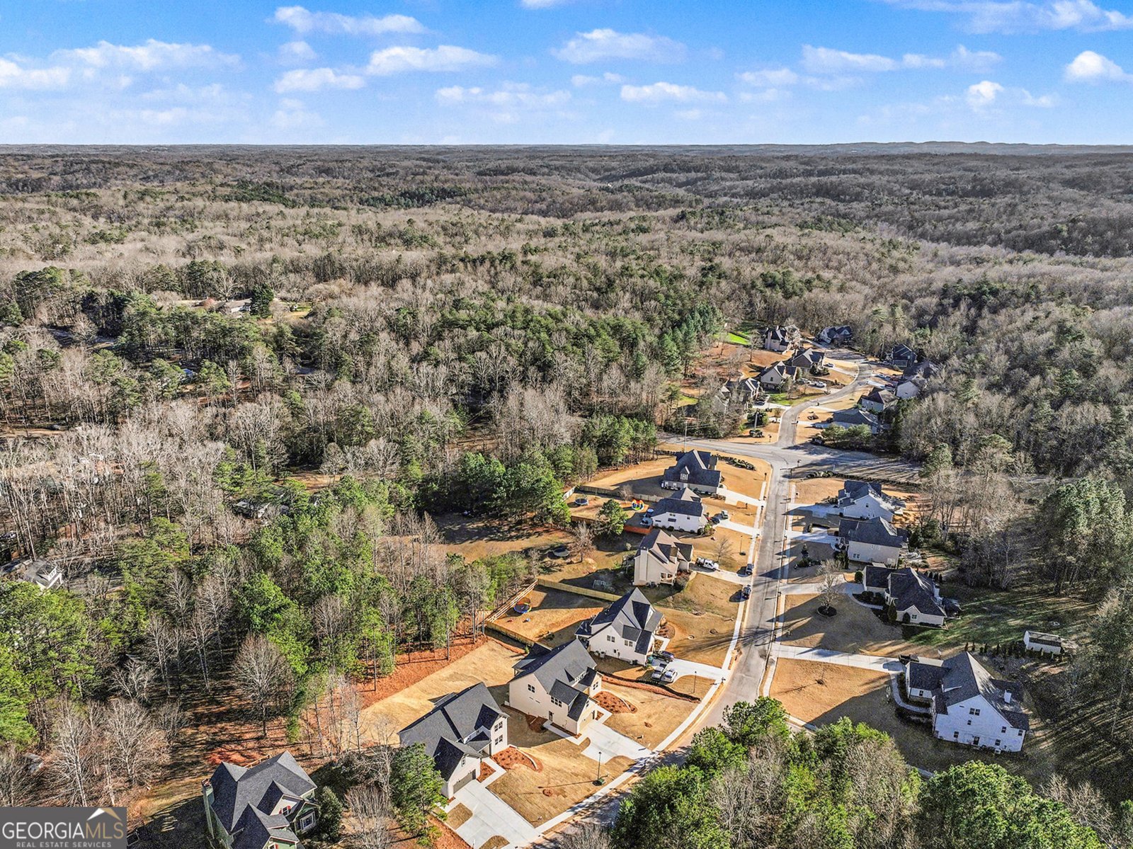 114 Morgan Lane Dawsonville - Photo 27