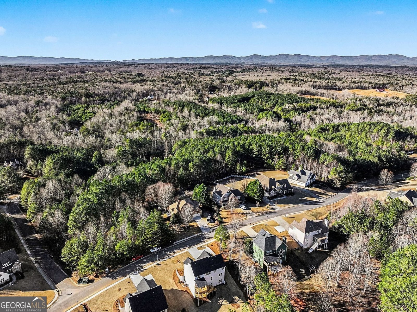 136 Morgan Lane Dawsonville - Photo 27