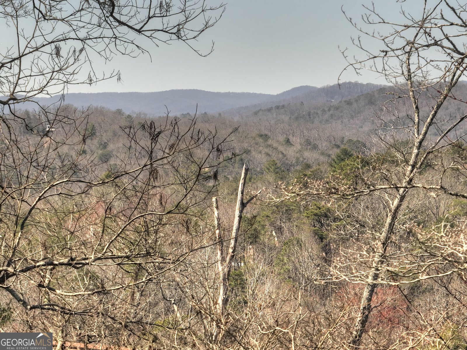 121 Cider House Lane Blue Ridge - 3