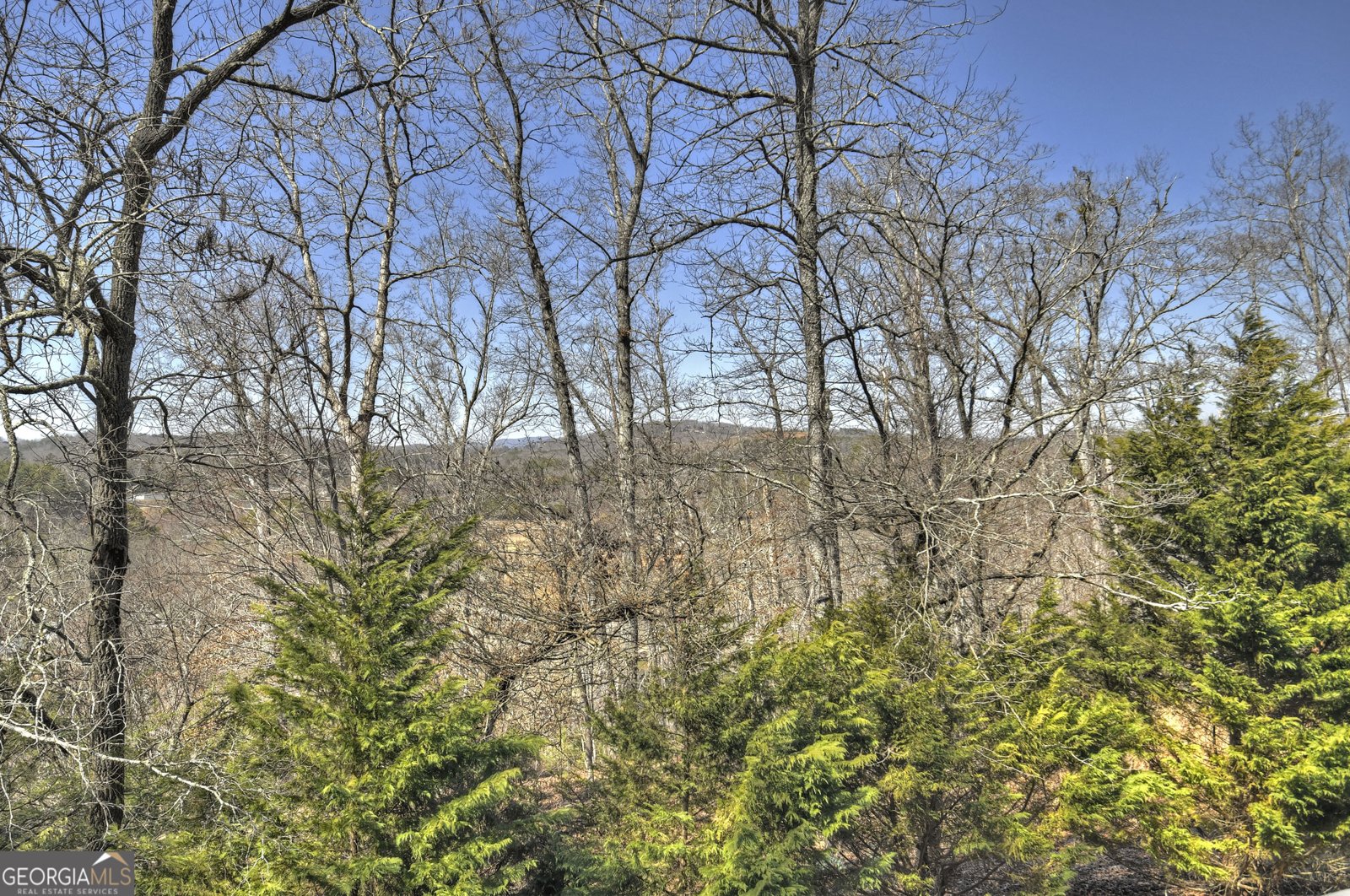 121 Cider House Lane Blue Ridge - 57
